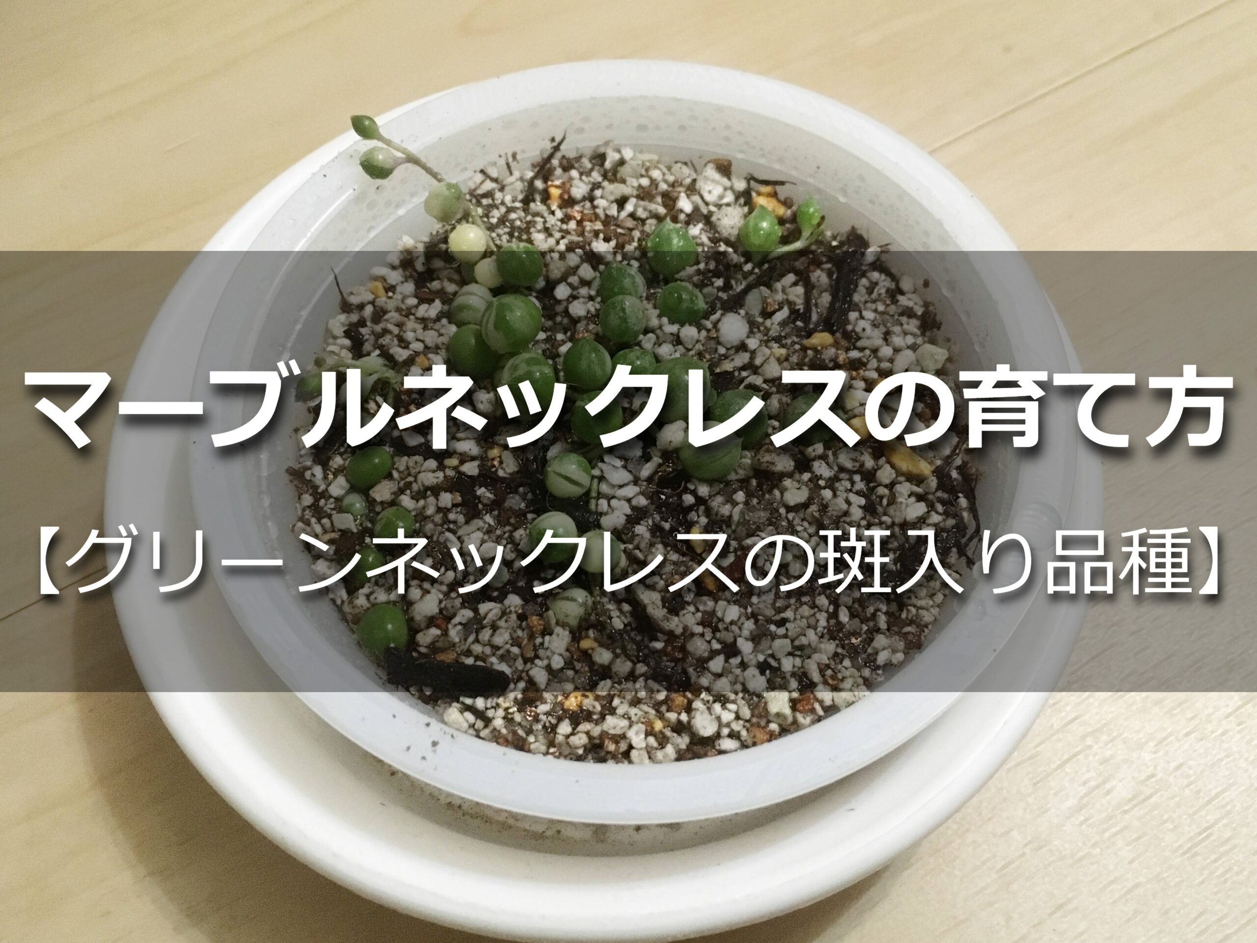 マーブルネックレス