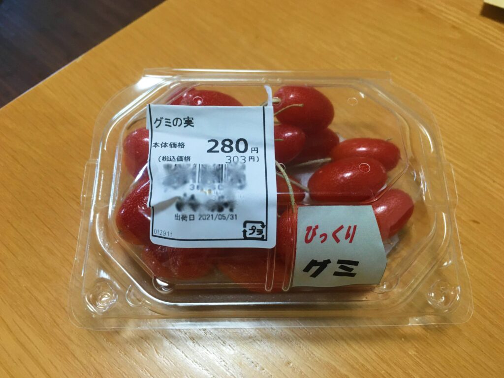 ビックリグミの実 ビックリグミの実