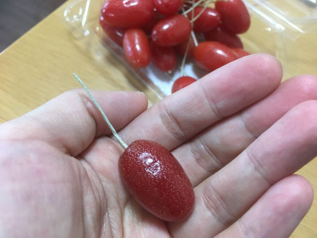 グミの実 グミの実