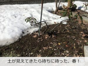 雪解けはもうすぐ