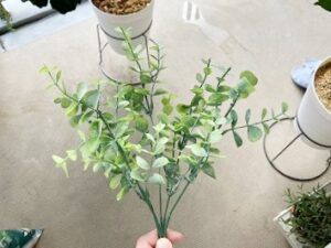 プリマオンラインで購入した人工観葉植物「ユーカリ」