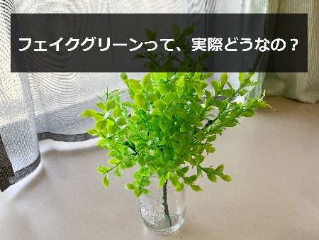ダイソーのフェイクグリーン