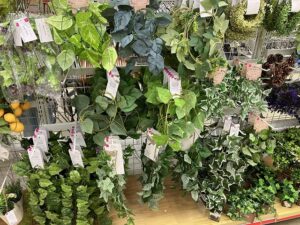100円ショップのフェイクグリーン売り場