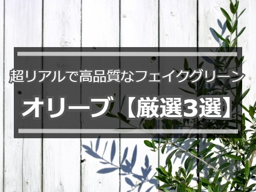オリーブの木