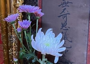 仏壇に供えられた菊の花