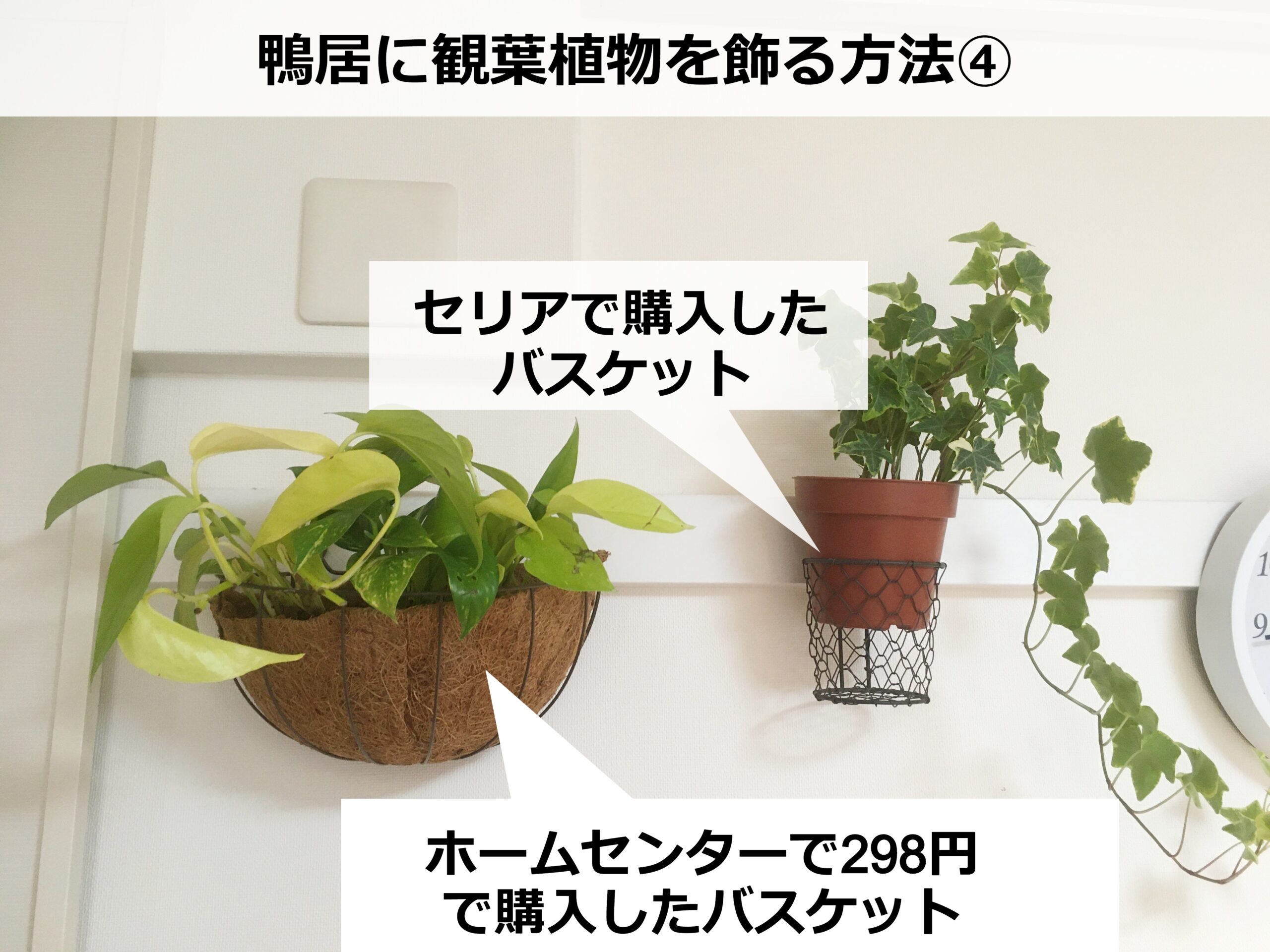 鴨居に観葉植物をおしゃれに飾る方法 100均活用 Komame Topics