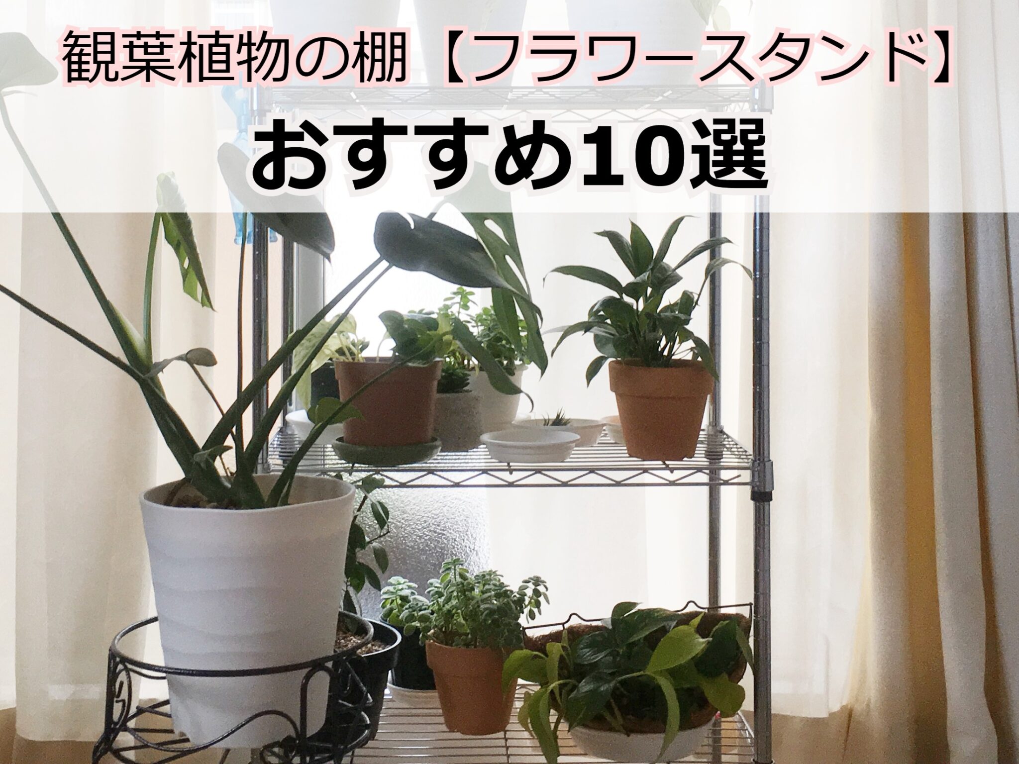 観葉植物の棚 室内をもっとおしゃれに！【おすすめ10選】 komame topics