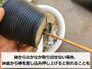 鉢底から棒を差して押し上げる