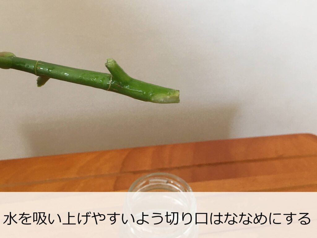 切り口 切り口
