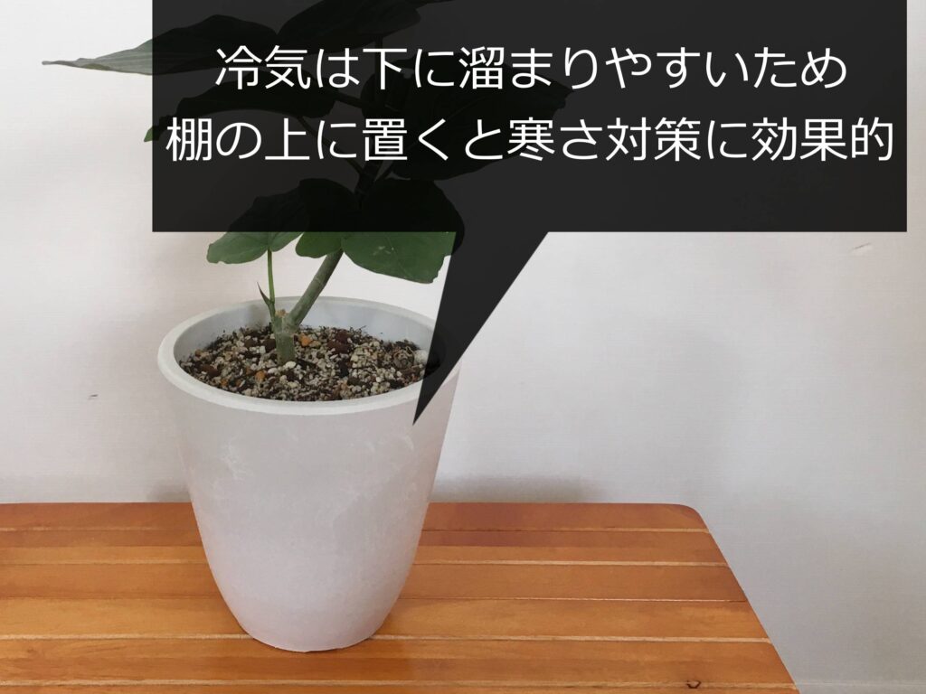 棚の上に置いた鉢植え