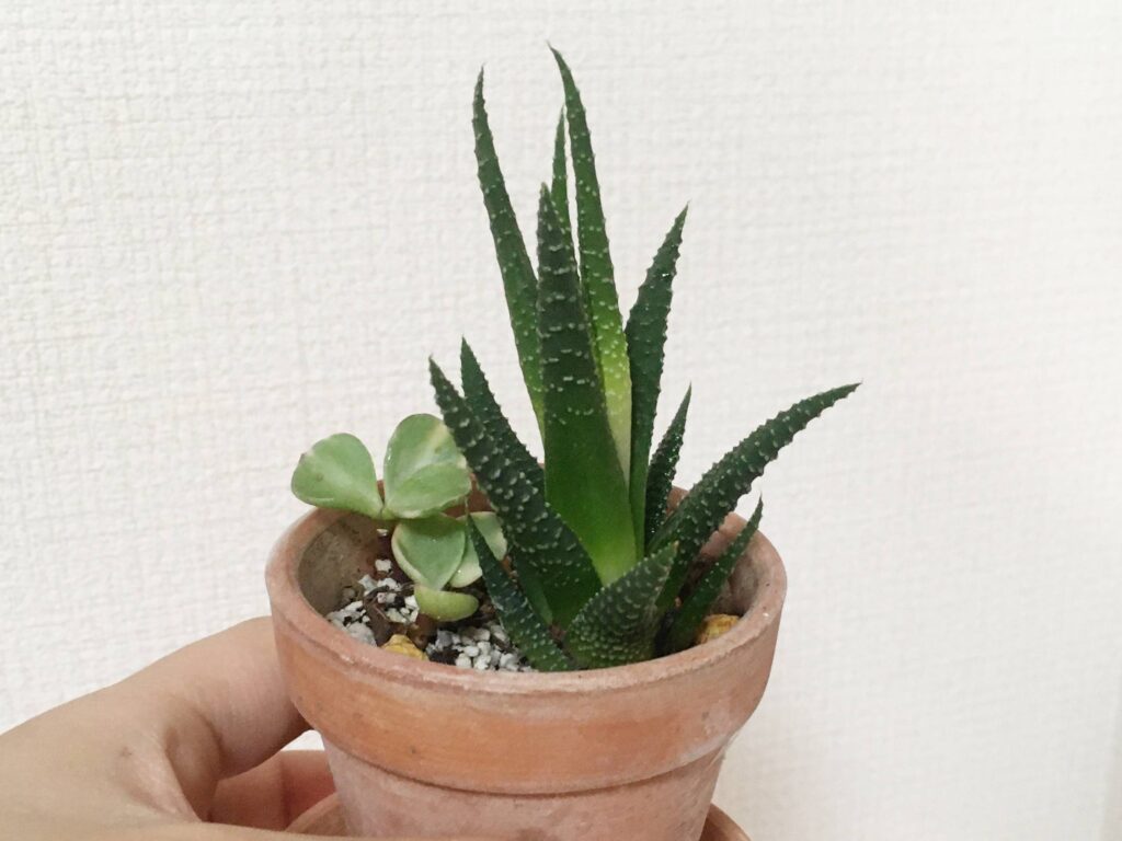 十二の巻 十二の巻