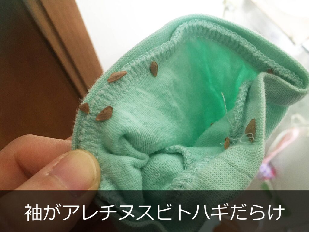 服にくっついたアレチヌスビトハギの種子