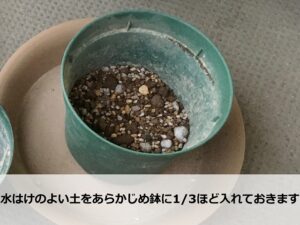 株分けの鉢準備