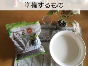 ハイドロカルチャーの植え替え時に準備するもの