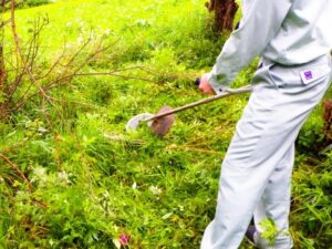 雑草を刈り取る業者