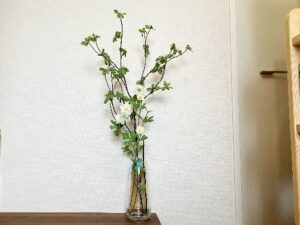 造花専門店のフェイクグリーン