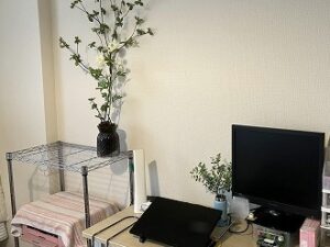 人工観葉植物を置いたpcまわり