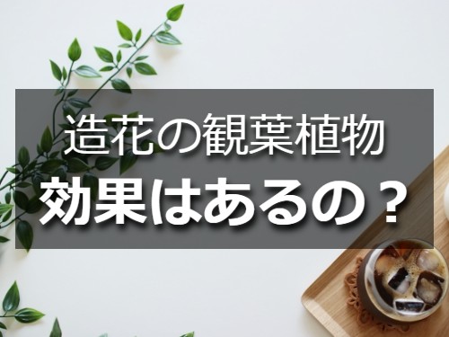 造花の観葉植物とお盆の上のカフェオレ