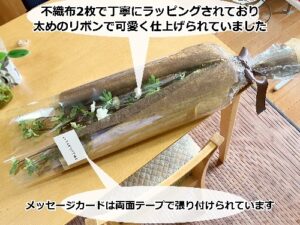 丁寧にラッピングされた人工観葉植物