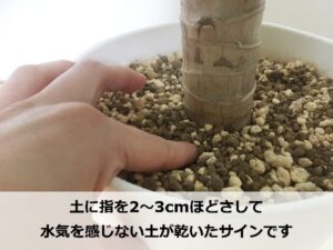 土が乾いたかどうかの確認方法