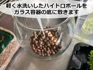 パルダリウム用のガラス容器に敷いたハイドロボール