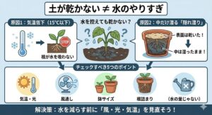 土が乾かない=水のやりすぎとは限らない理由