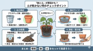 鉢や土が原因で、土が乾かないこともある理由