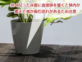 床に直接置いたポトスの鉢植え