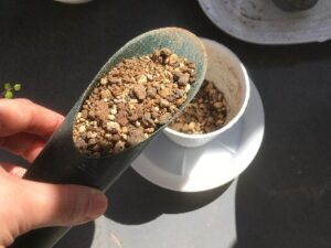 植え替えに使う土