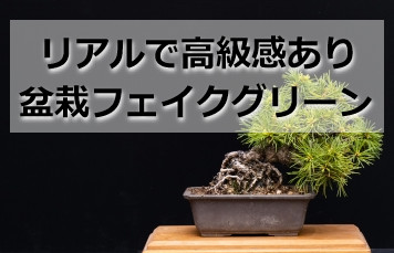 リアルで高級感のある盆栽のフェイクグリーン【厳選・5選】 | komame 