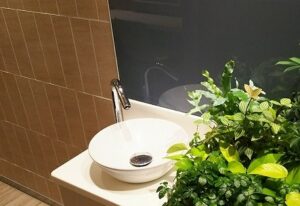 トイレの洗面台に飾ったグリーン