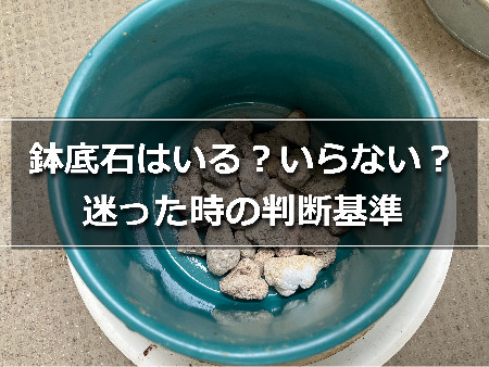 陶器鉢の中の鉢底石