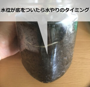 炭植えハイドロカルチャーの容器部分