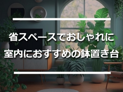 観葉植物のあるおしゃれなお部屋