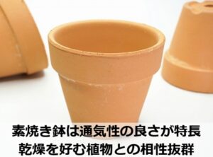 素焼き鉢