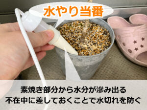 留守中の便利グッズ「水やり当番」