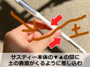 サスティーの挿し方