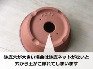 鉢底穴