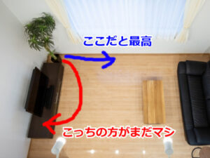 テレビ横に置いた観葉植物