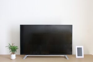 テレビ横に置いた観葉植物