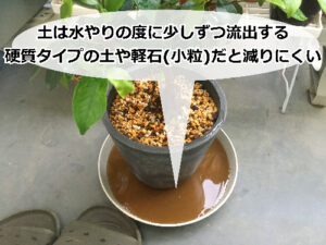 受け皿に溜まった泥水