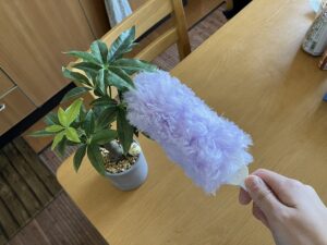 観葉植物のほこりを取る