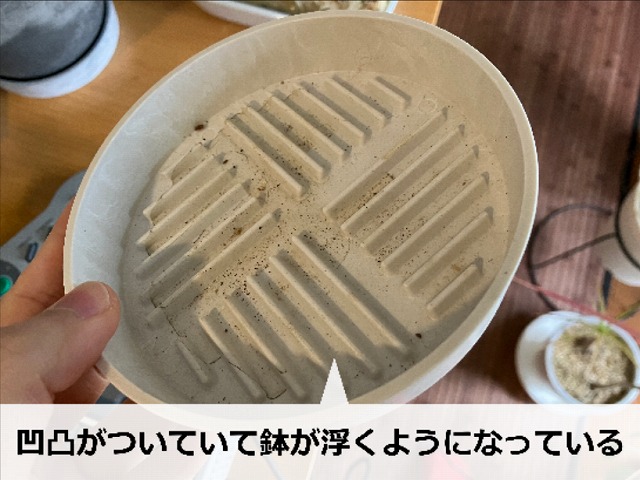 通常の受け皿の例。専用の貯水部とは構造が異なります。