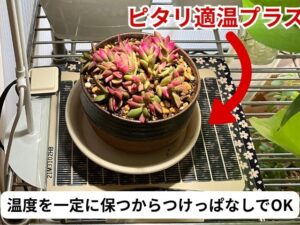 ピタリ適温プラスをつけっぱなしにして良い理由