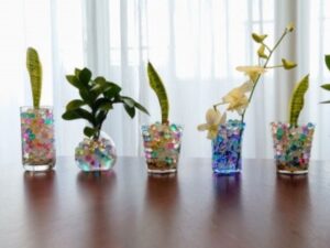 ジェルボール栽培