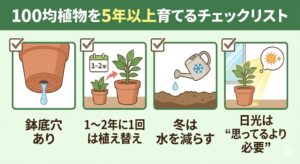 100均観葉植物を5年以上育てるコツ5個