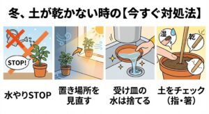 冬に土が乾かない時の対処法