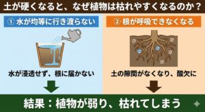 土が硬くなると観葉植物が弱る理由
