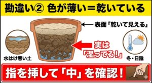 観葉植物の土の乾き具合を見分ける方法