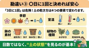 観葉植物の水やりでの勘違い